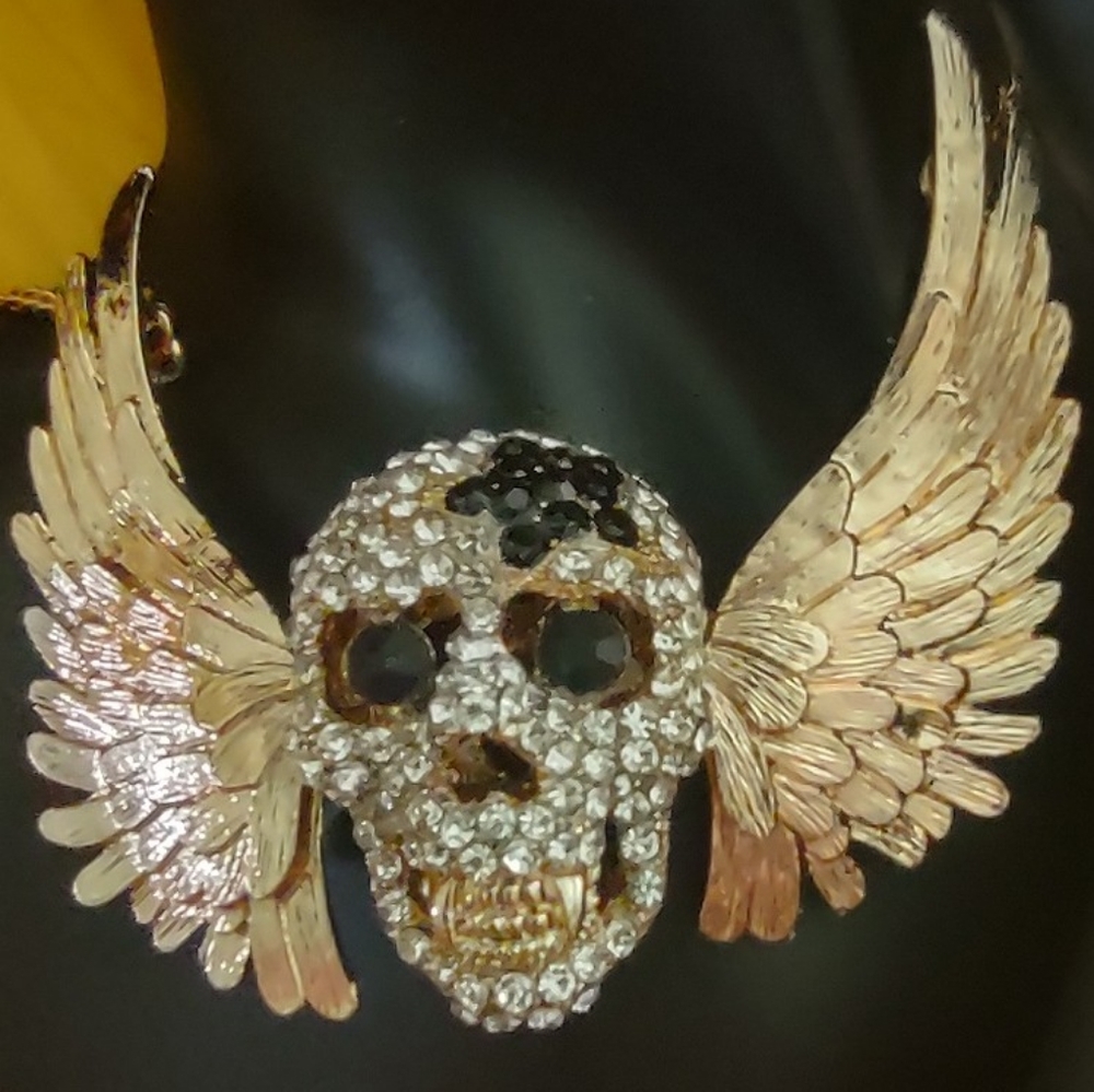 🎇 2/$30 mix & match Winged skull necklace choker